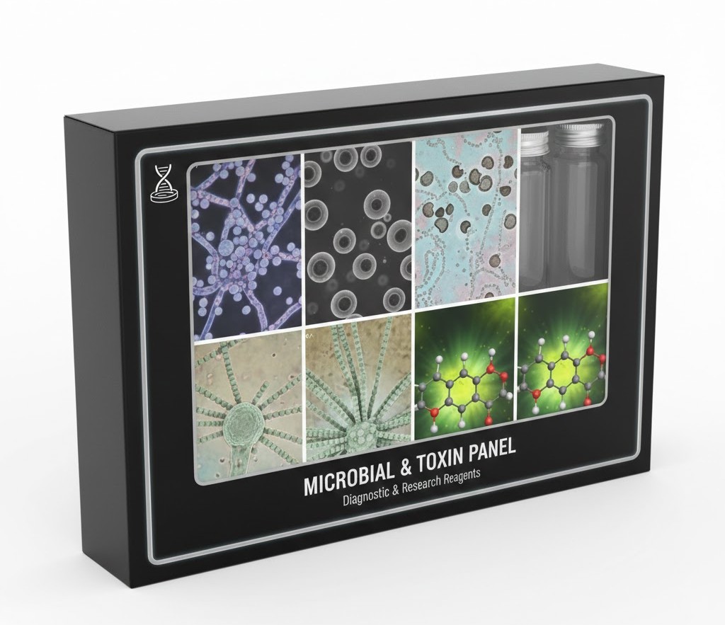 Aspergillus fumigatus