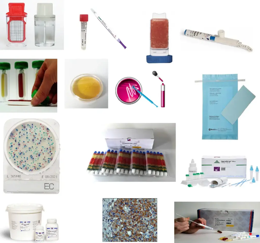 [240140] ECOUVILLONS PEPTONE SEL ET NEUTRALISANT - 4ML STERILE