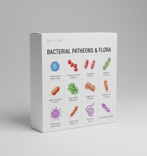 [bact-ks-1247] Baumann Acinetobacter baumannii